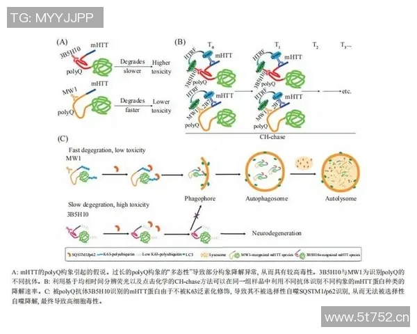 成都街舞队心理素质深度对比分析与团队表现的关系探讨