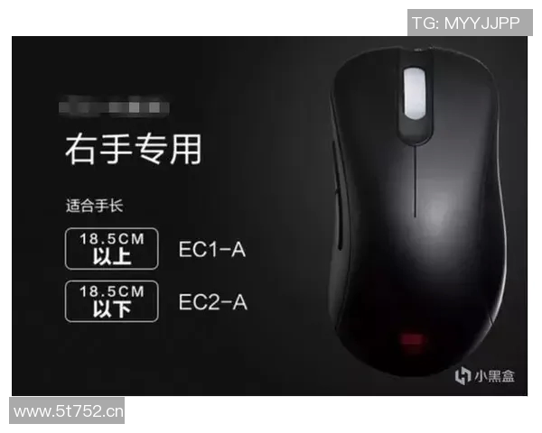 提升游戏体验的CSGO鼠标选购指南与推荐